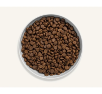 Canagan Dental for Cats  Free Run Turkey, 375 gr.